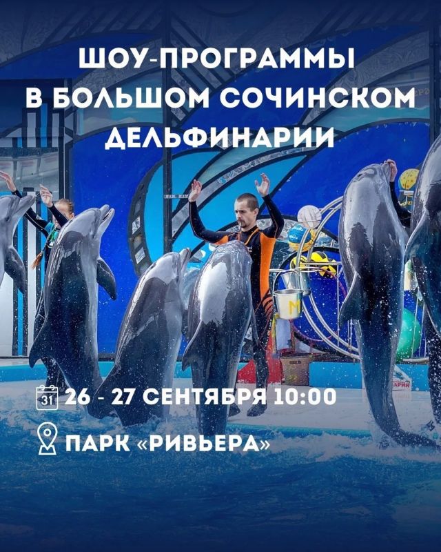 Куда сходить в Сочи на выходных 26–27 сентября? Куда сходить в Сочи на выходных 26–27 сентября?