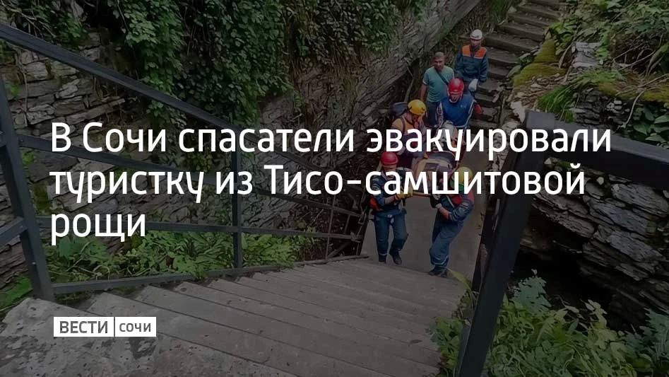 В Сочи спасатели двух подразделений МЧС эвакуировали из Тисо-самшитовой рощи 61-летнюю туристку из Челябинской области, сообщили в ЮРПСО