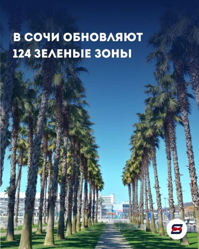 В Сочи благоустраивают. 124 сквера и парка