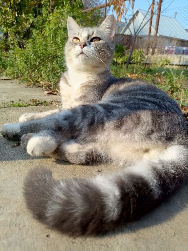 Доброе утро, Кубань!. Краснодар +19 °С Доброе утро, Кубань!. Краснодар +19 °С