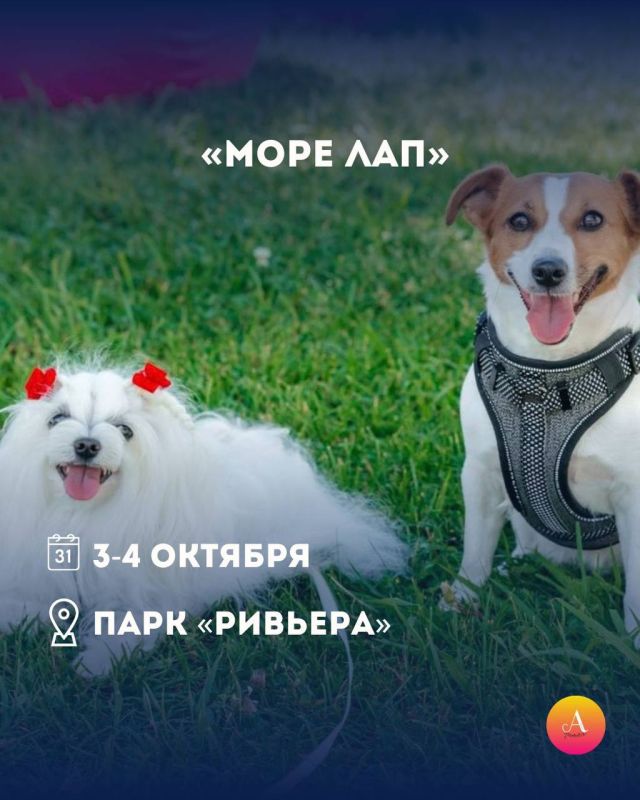 Куда сходить на выходных 3-4 октября? Куда сходить на выходных 3-4 октября?
