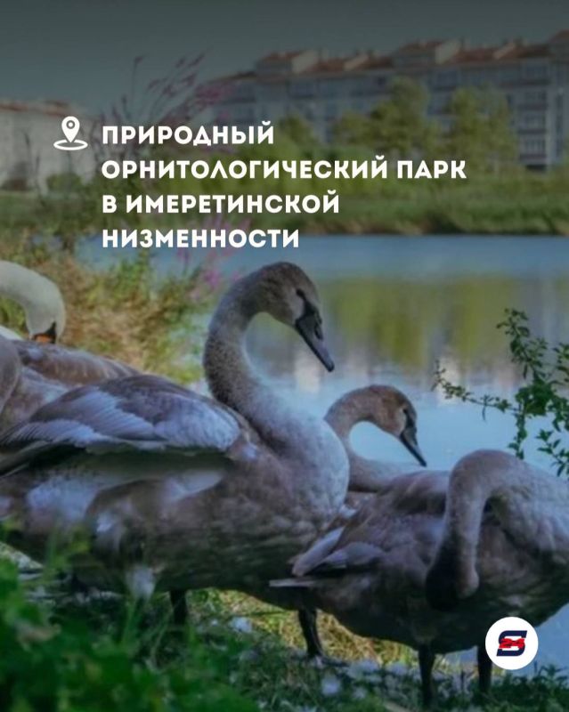 Когда хочется просто сбежать из рутины, Сочи знает, чем удивить… Когда хочется просто сбежать из рутины, Сочи знает, чем удивить…