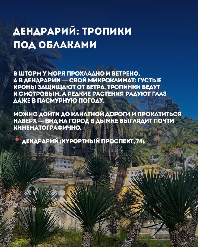 День без пляжа: чем заняться в Сочи, если море штормит День без пляжа: чем заняться в Сочи, если море штормит