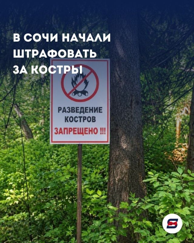 В Сочи усилили контроль за кострами и сжиганием листвы
