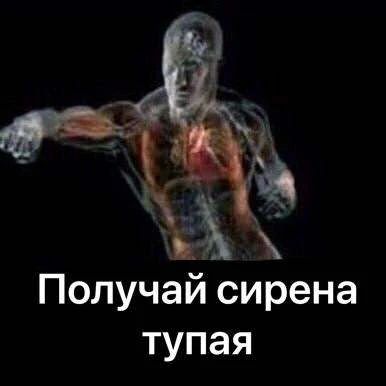 Житель Сочи "отвесил хук с левой" сиренам ради жены