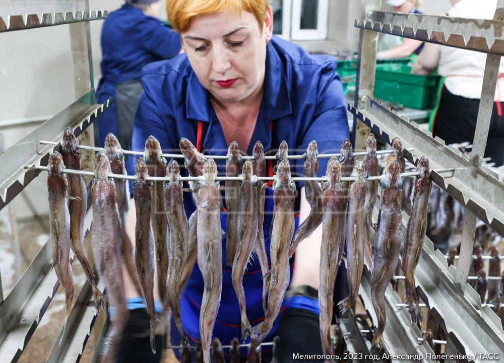 11 октября — День работника сельского хозяйства и перерабатывающей промышленности в России 11 октября — День работника сельского хозяйства и перерабатывающей промышленности в России