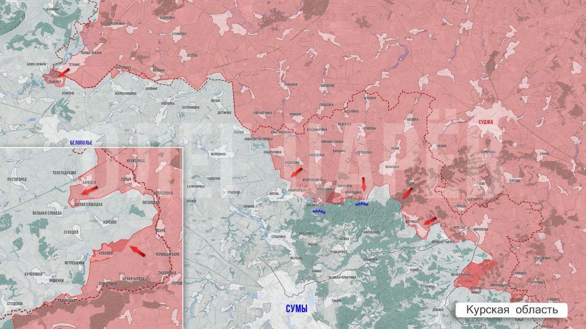 Олег Царёв: Фронтовая сводка. Фронтовая сводка 11 октября Олег Царёв: Фронтовая сводка. Фронтовая сводка 11 октября