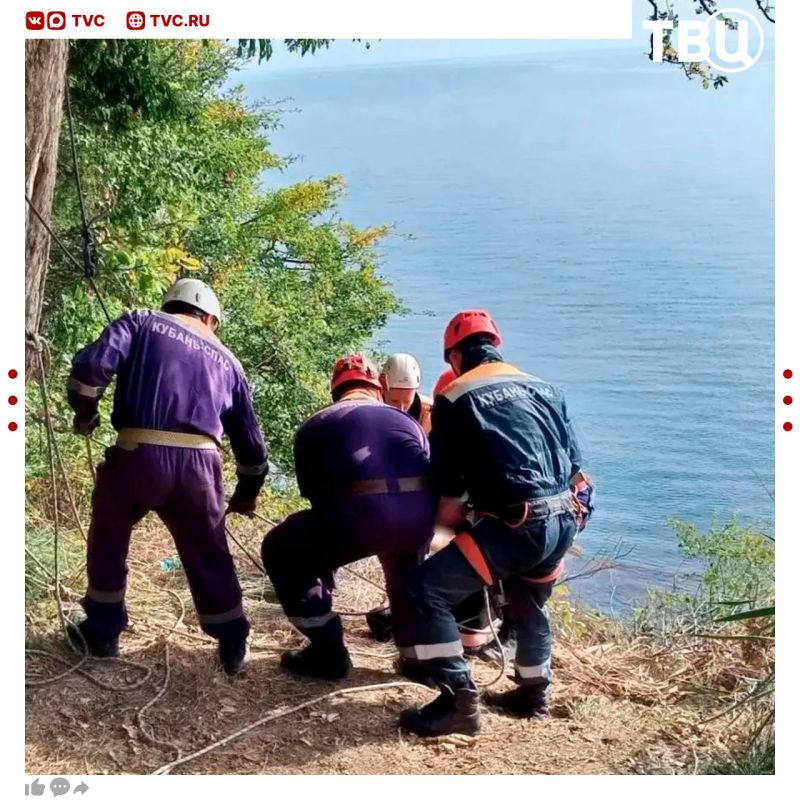 Кустарник в Сочи спас жизнь мужчине