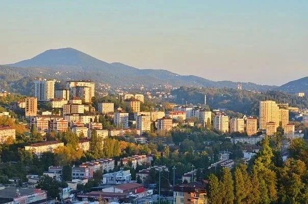 Суд поддержал позицию администрации Сочи по вопросу отказа в предоставлении земельного участка в аренду без торгов