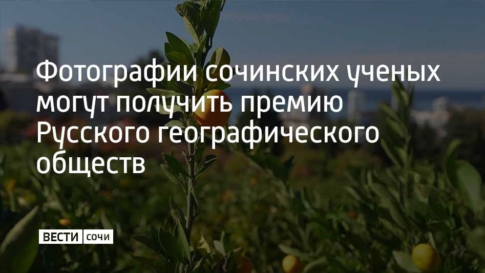 Фотографии сочинских ученых могут получить премию Русского географического обществ