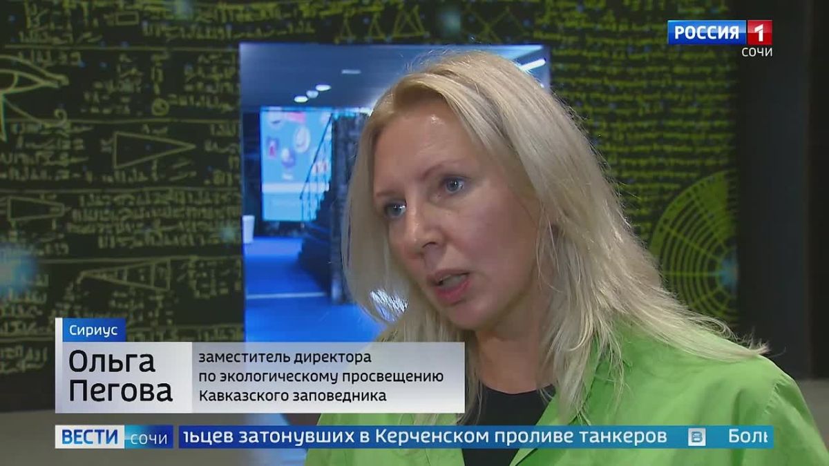 В Сириусе показали документальный фильм о гималайских медведях