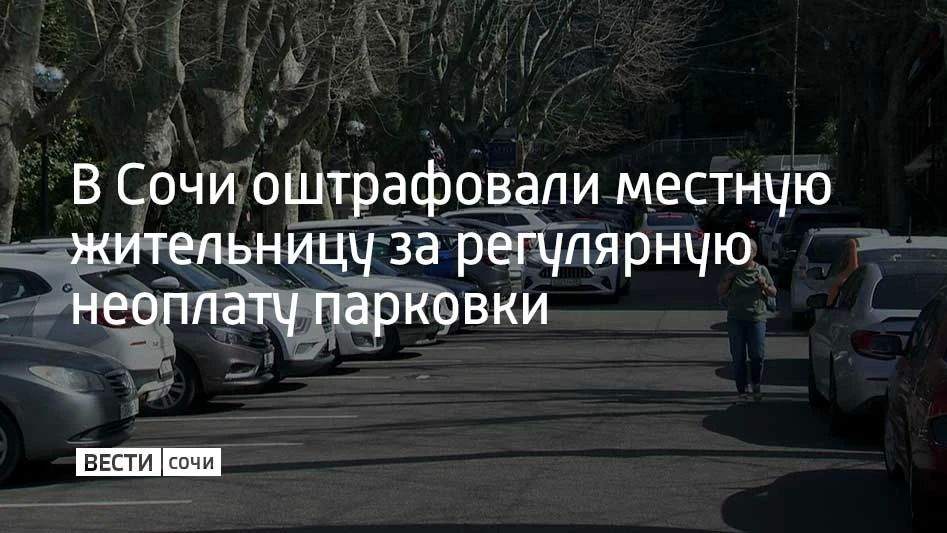 В Центральном районе Сочи выявили и оштрафовали местную жительницу, которая систематически уклонялась от оплаты парковки, сообщили в администрации курорта