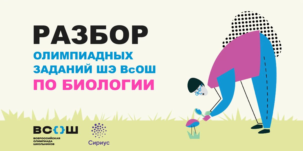 Опубликован разбор заданий школьного этапа ВсОШ по биологии: