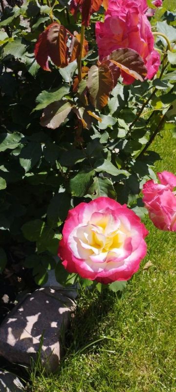 О погоде на 28 октября. В Краснодарском крае переменная облачность О погоде на 28 октября. В Краснодарском крае переменная облачность