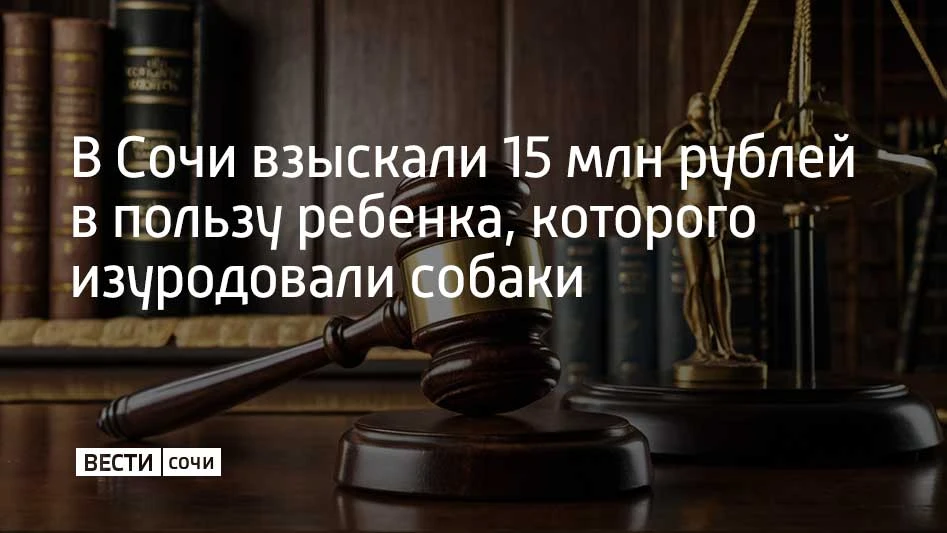 Адлерский районный суд Сочи взыскал 15 млн рублей морального вреда в пользу ребенка, на которого напали псы в конце февраля 2025 года, сообщили в прокуратуре Краснодарского края