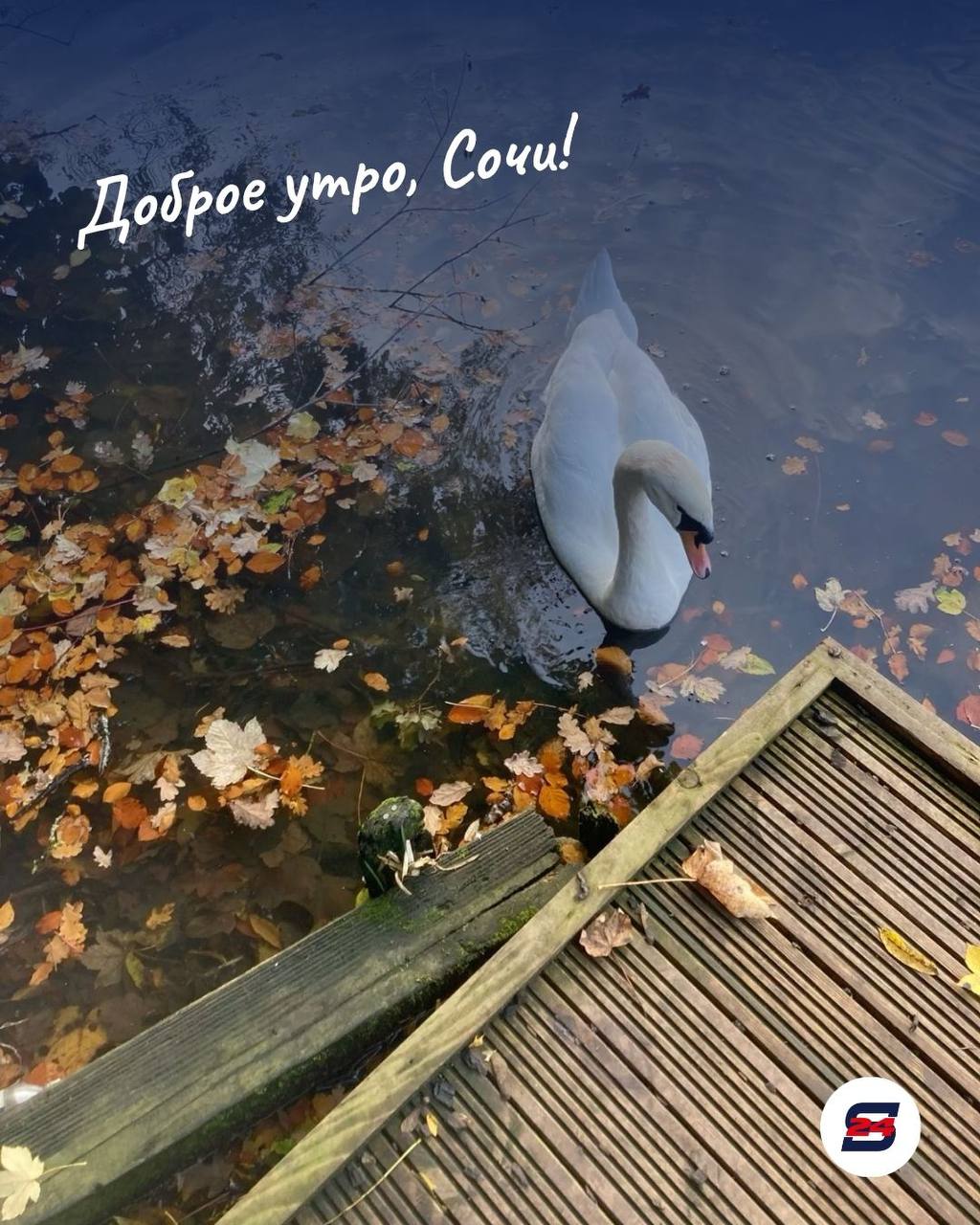 Доброе утро, Сочи!. Ну что, дождались! Пятница — один из самых приятных дней недели, ведь завтра можно наконец выдохнуть, забыть о рабочих задачах и посвятить время себе и близким