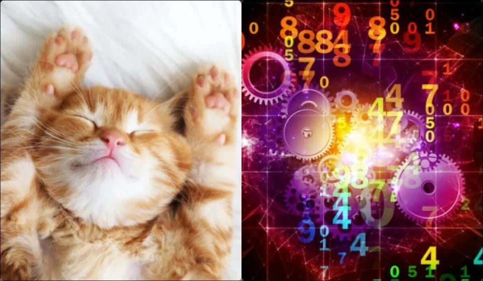 ��� ����� �������� ����� ����������, ����� ����� ������ ����� ��������� ������