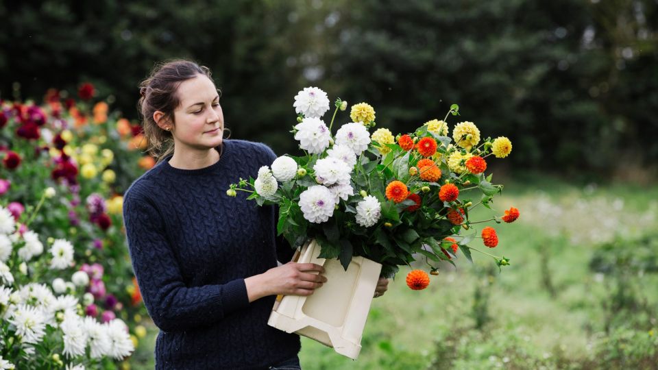 Вырастут без рассады: эти сорта красивейших цветов можно посадить сразу в грунт