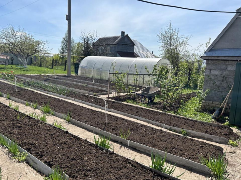 Непрошенные гости: как защитить свои растения от слизней