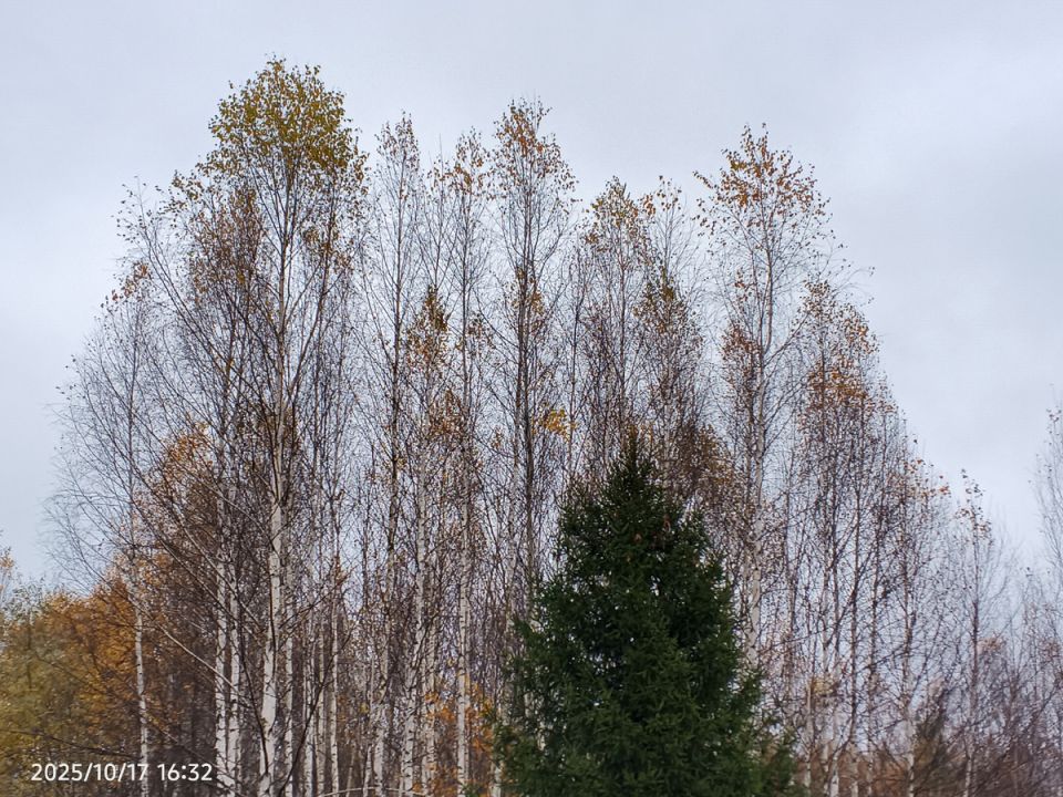 Народные приметы о зиме и весне
