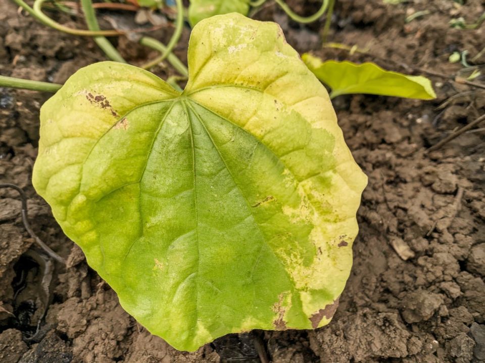 ������ ������ ������� �������� ������� � ������? ������� 5 ������������ ������ � ������ �������!