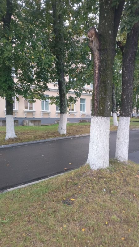 Как одна женщина победила страх и сделала укол против пяточной шпоры