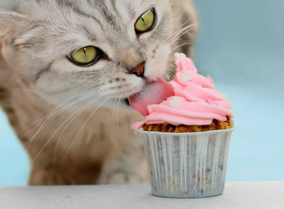 ��� ��������� �� ������ ���������� � ����� ������, ����� ��������� ������� ��������