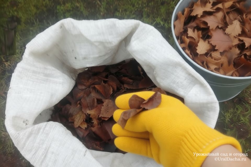 ��� �������� ������ ������� ��� ��������� ��������� ��������� ��� ����������