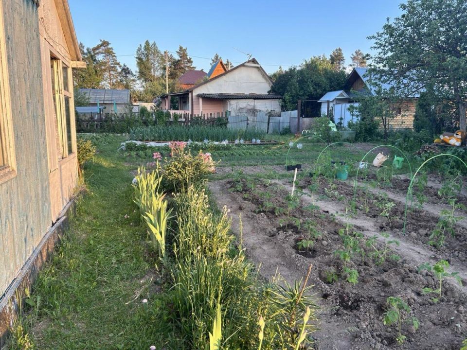 ����� ������������� ��������: ��� ����������� ��������� �� ������� � �����������