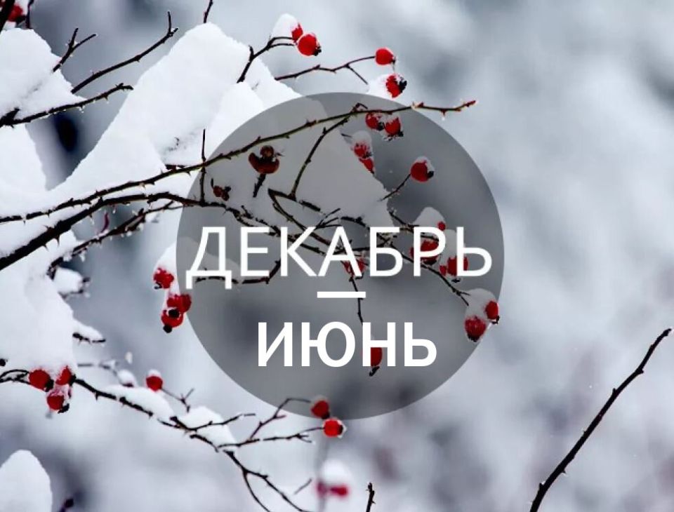 ������ ������ ���������� ������ ����: ��� ������� ���������� ��������