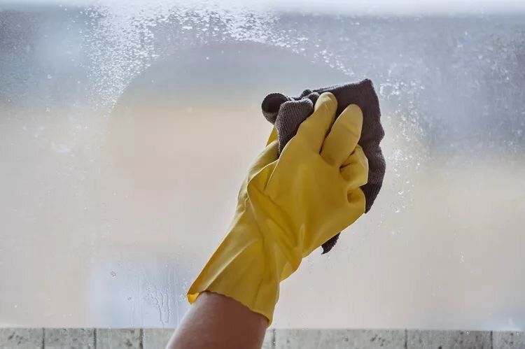 ��� ����� ���������� � ������ ��������� �� ������� ����: ����������� �������� ������