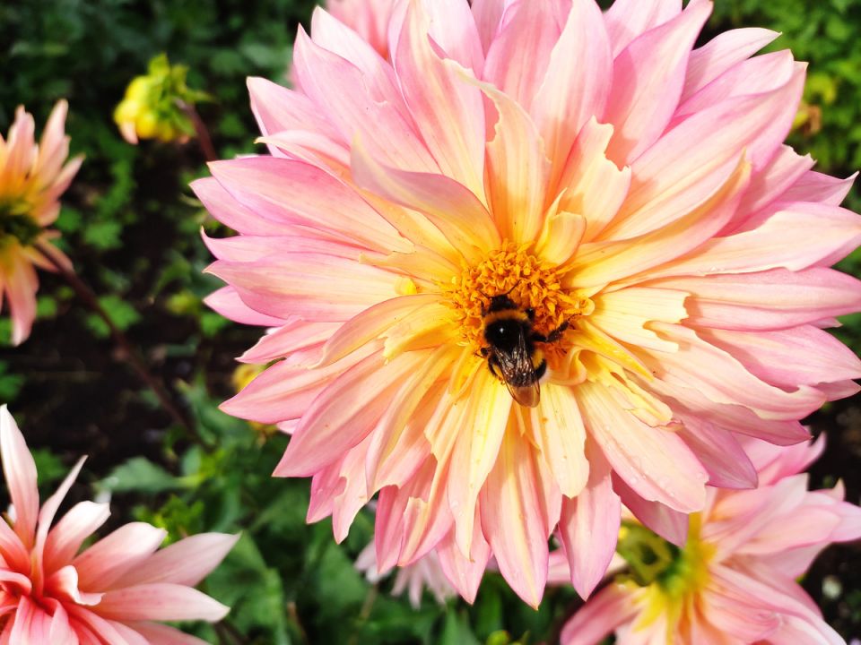 ��� �������� ������ �������� ���������: �������� ������� ���������