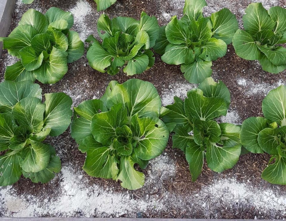 ���������� ������������� ������������� ��� ������