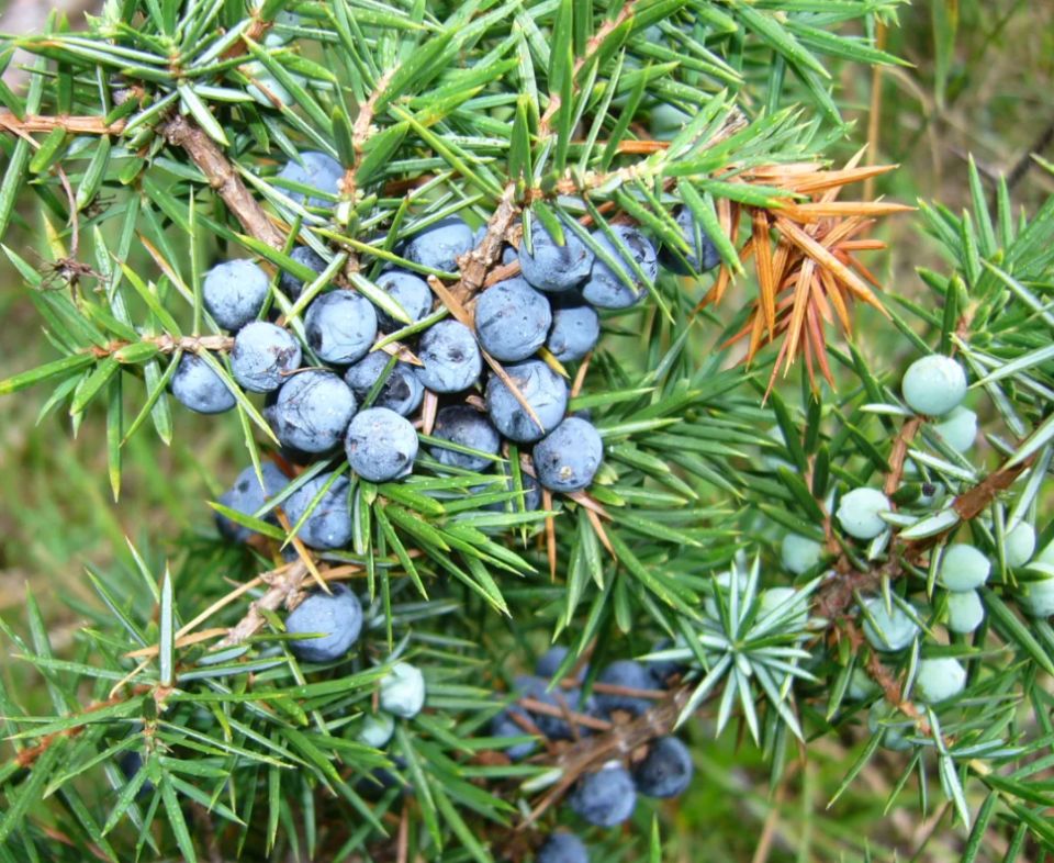 ������������: �������� �������� � ����������� �����