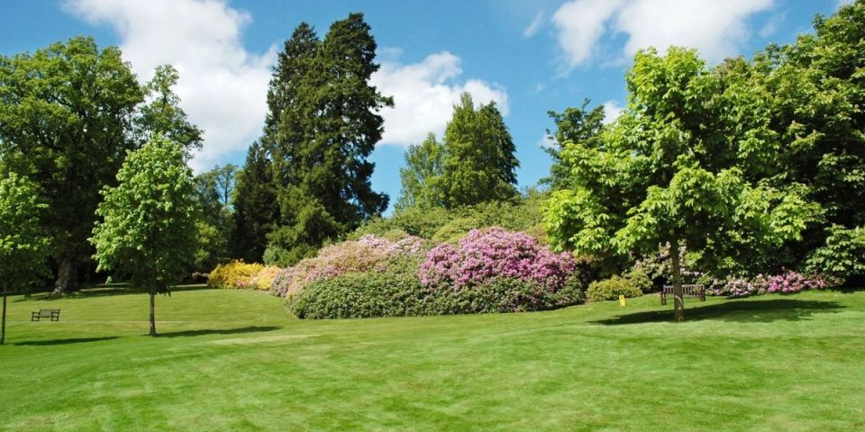 ������� ������� ��� ������ ����: ��� ����� ����� ����� ��������