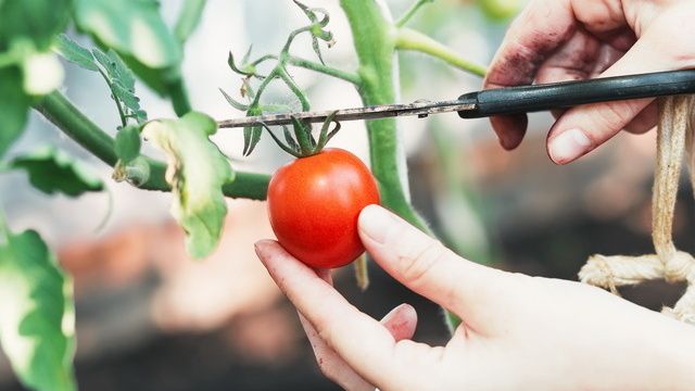 ��� ������� ��������� ������������� ������ ��� �������: 8 ������ � ������� �������