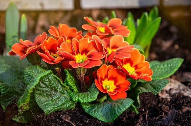 ������� ��� ����: ��� ������� ����� ��������� � ������������� ����