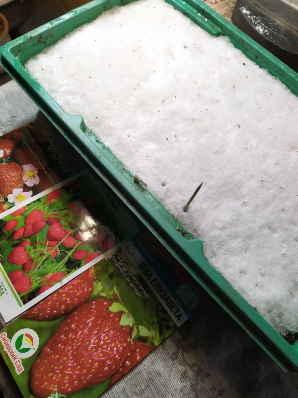 ��� �� ��������� �����: ������ �� ����� � ������������ ��������� ��� ������ ������