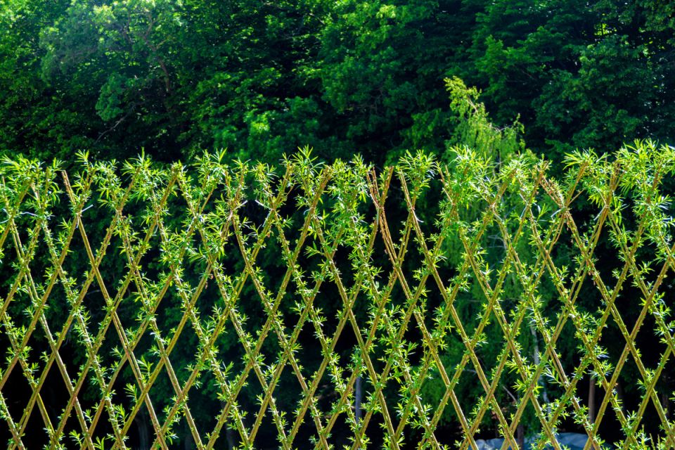 ������ �������� ������ �������� ������: ���Er� ������������ �����������