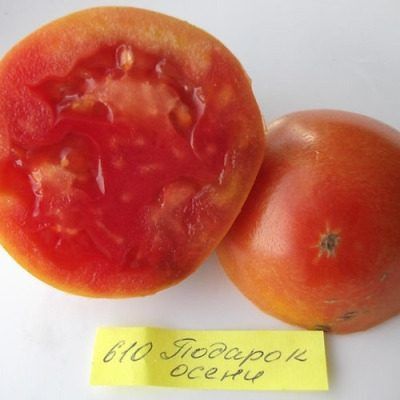 ����� ������� �����: ��������� ���������� �������� ����� � ������� �������