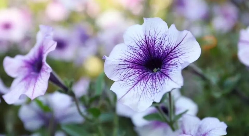 ������� ������: ��� ������� � ��������� �������� ������ ������