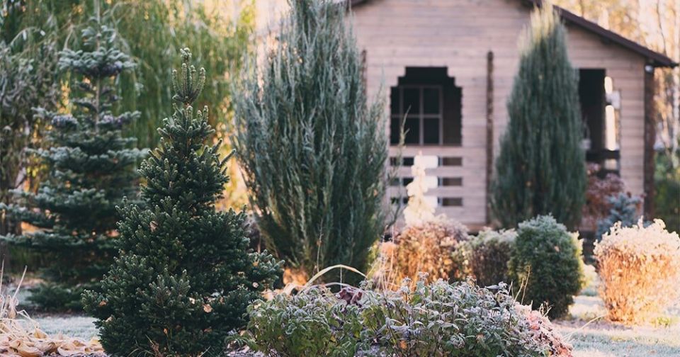 �������� ������� ��������: ��� ������� ��������� ��� � ������������� ������������