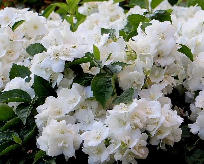 ��� ������� ������� ���������, ����� ���� ���� ����� � ��� ������