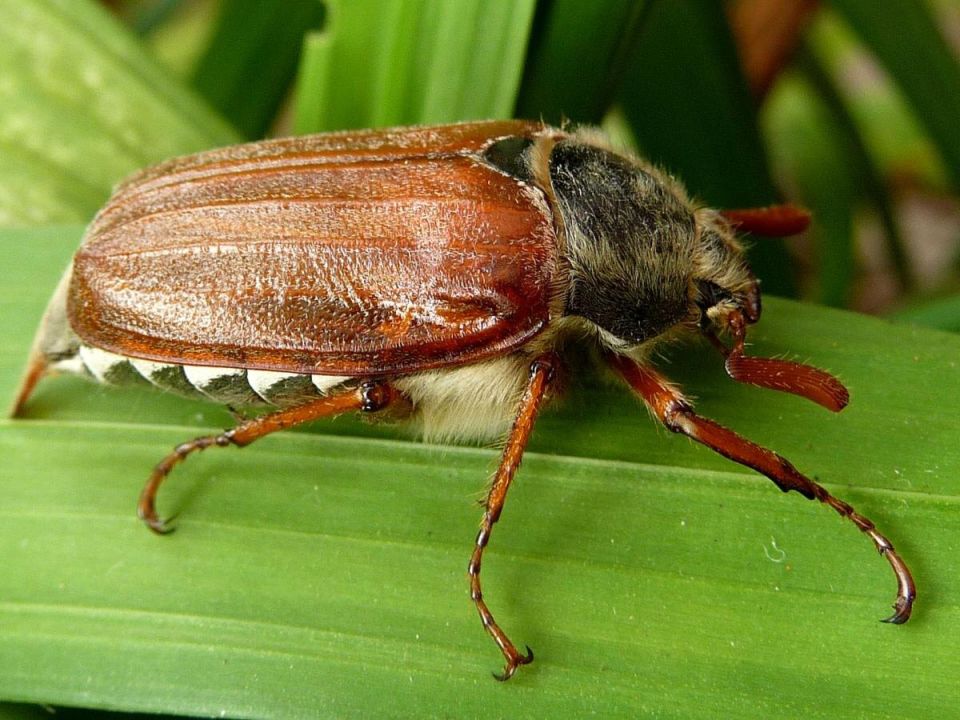 ��� ���������� �������� ������� �������� ���� ��� �����: ����������� �������