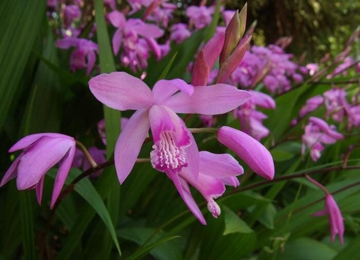 ���������� ���������: ����� �� ������������������ � ������� ����������?