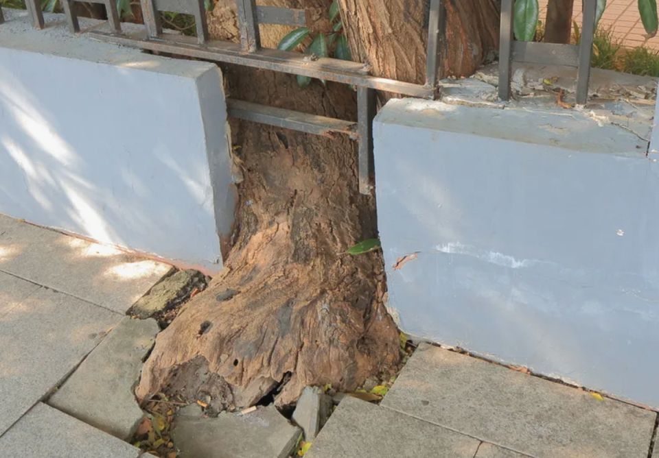 ������� ������� ��� ������ ����: ��� �� ����� ������