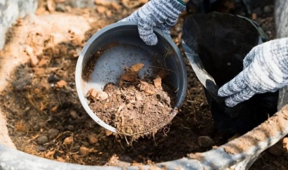 ��� ���������� ������������ ������� ���� �����: ������ ���������