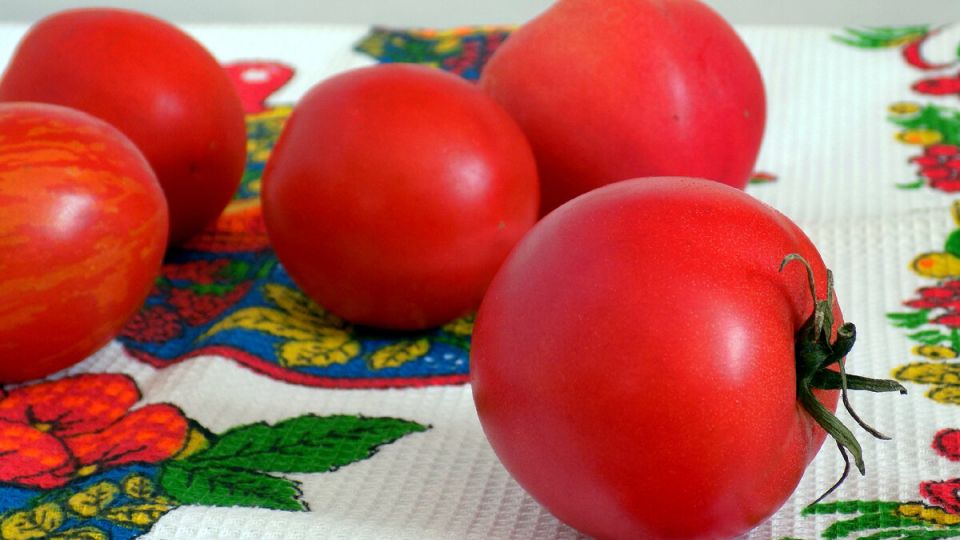 Скороспелые сорта томатов: как быстро вырастить вкусный урожай