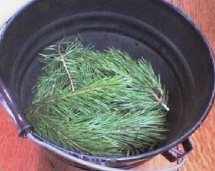 ����������� ��������� ��� ����: ������� �������� ��� �����