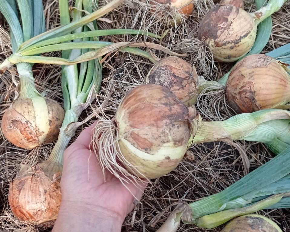 ��� ����� ����� ����� �������� ���� � ������� ������ ������